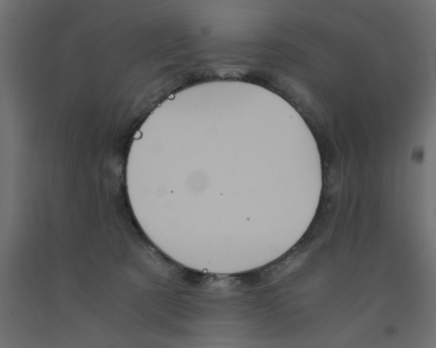 X0000090860321200708241904