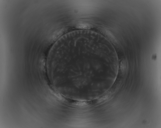 X0000090860322200708241904