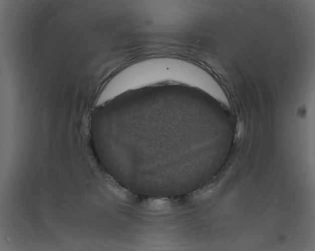 X0000090860325200708241904