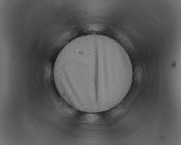 X0000090860328200708241904