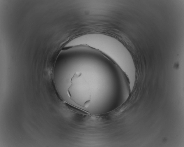 X0000090860329200708241904