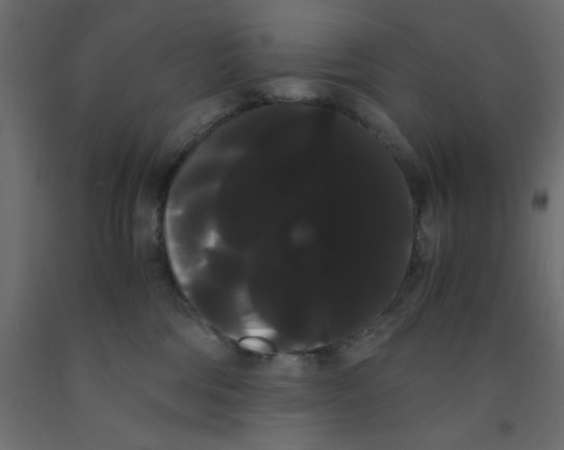 X0000090860330200708241904