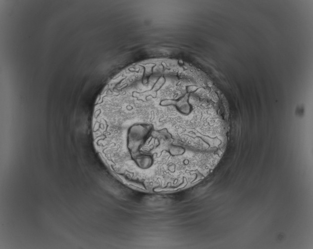 X0000090860331200708241904