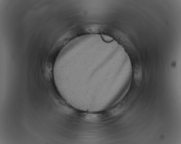 X0000090860332200708241904