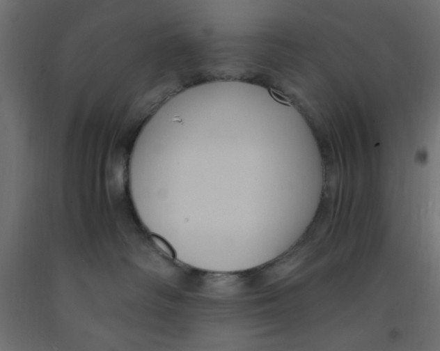 X0000090860334200708241904