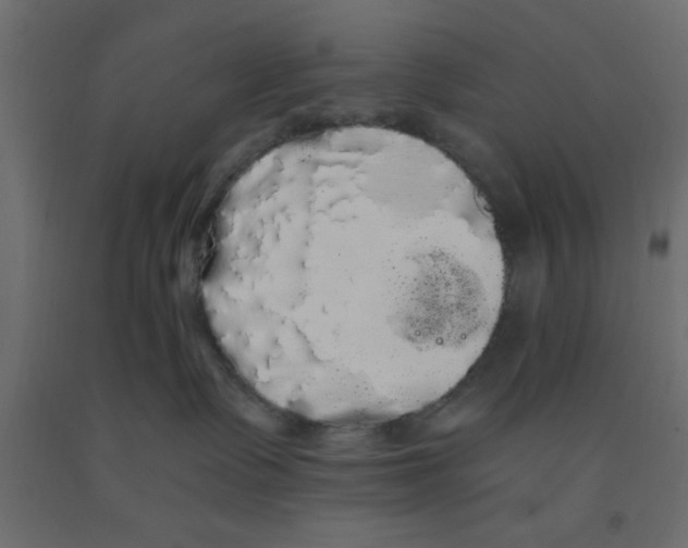 X0000090860335200708241904