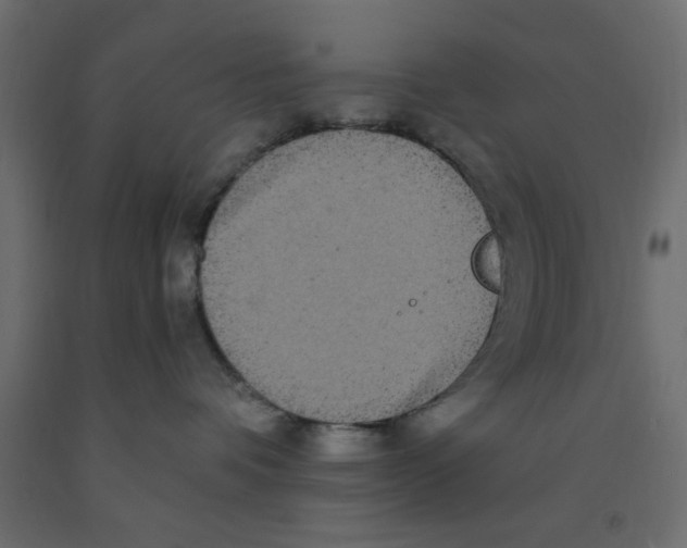 X0000090860336200708241904