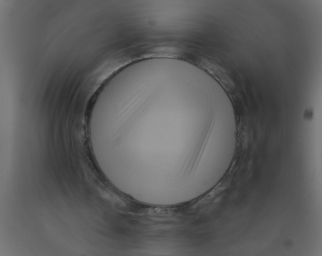 X0000090860338200708241903