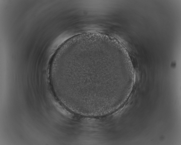 X0000090860339200708241903