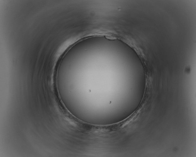 X0000090860340200708241903