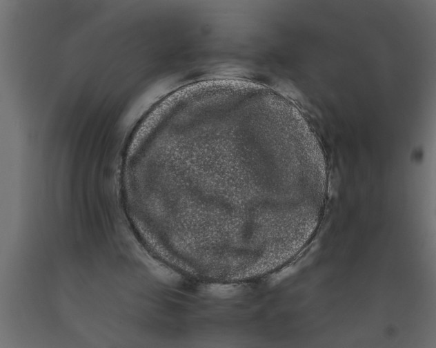 X0000090860341200708241903