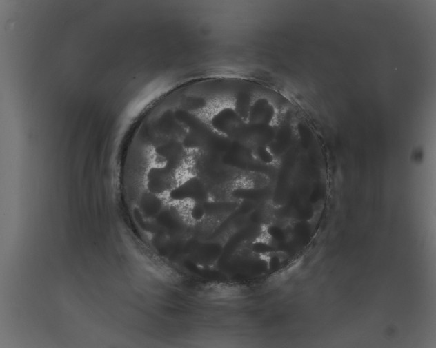 X0000090860343200708241903