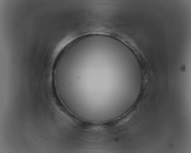 X0000090860344200708241903