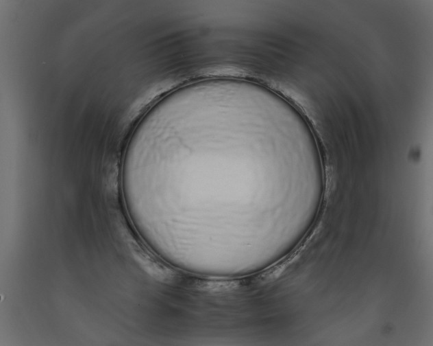 X0000090860345200708241903