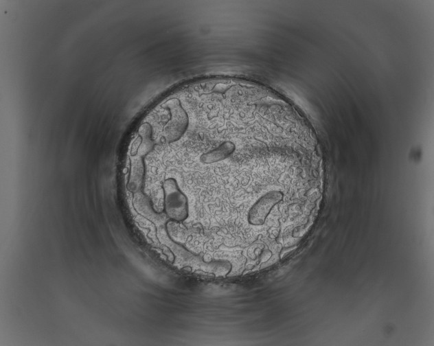 X0000090860346200708241903