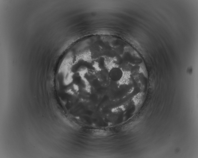 X0000090860347200708241903