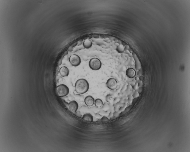 X0000090860349200708241903