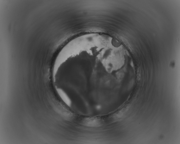 X0000090860351200708241903