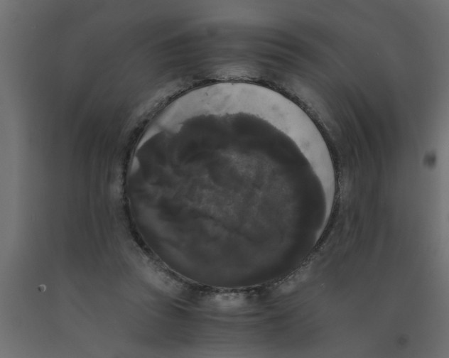 X0000090860353200708241903