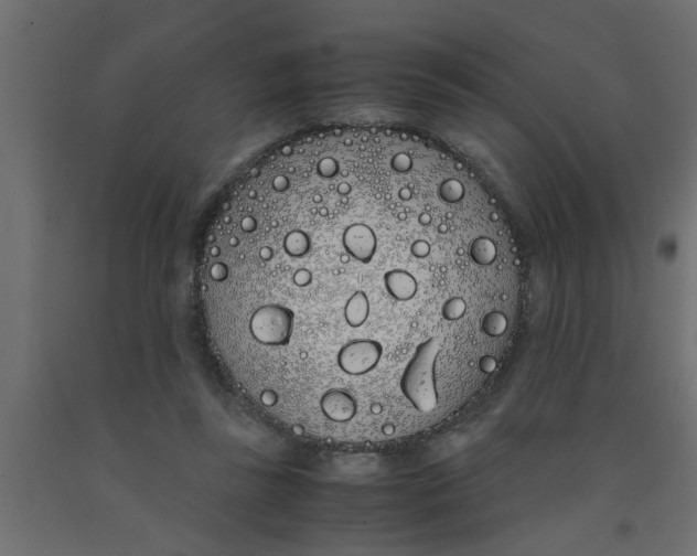 X0000090860355200708241903