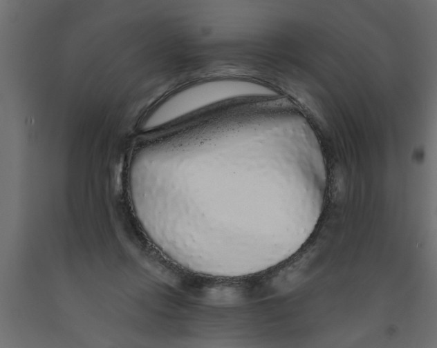 X0000090860358200708241904