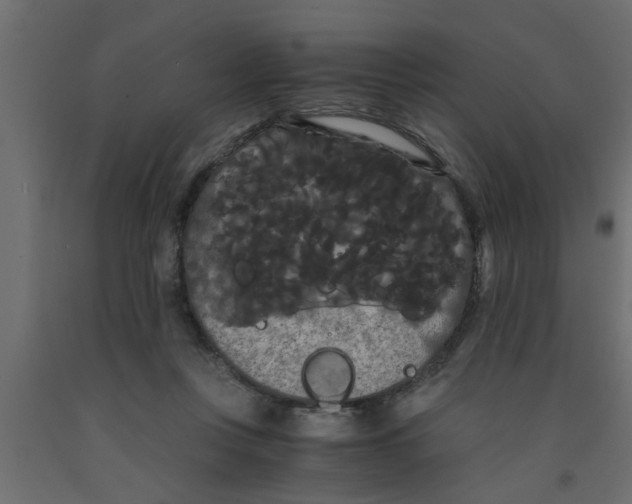 X0000090860359200708241904