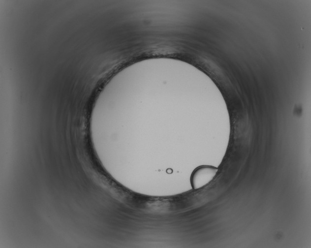 X0000090860362200708241904