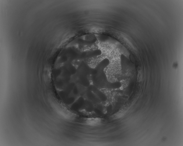 X0000090860363200708241904