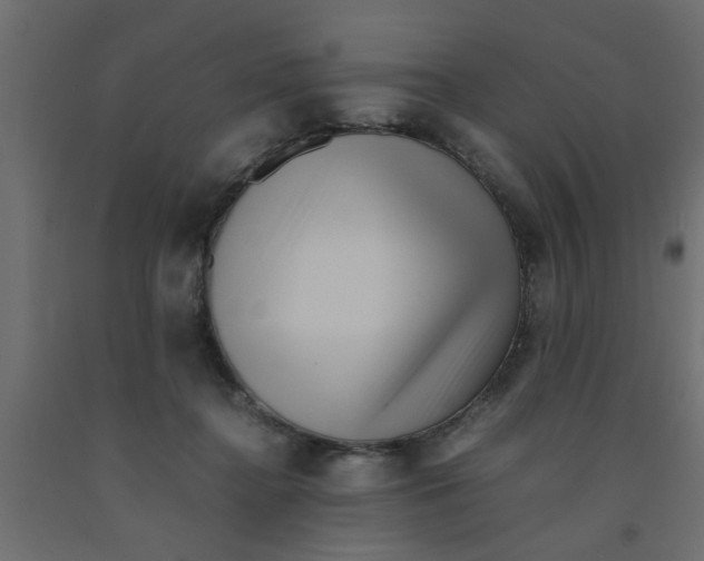 X0000090860364200708241904