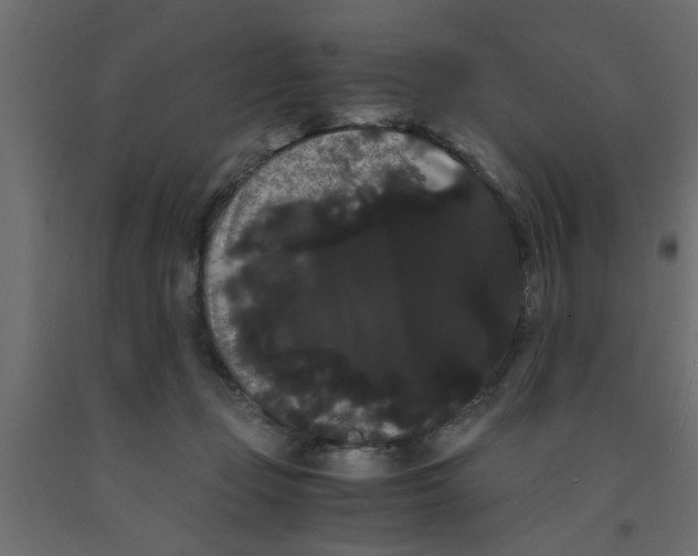 X0000090860365200708241904