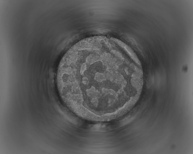 X0000090860366200708241904