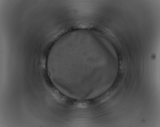 X0000090860368200708241904