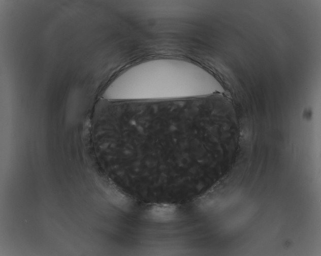 X0000090860369200708241904