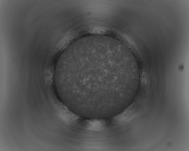 X0000090860370200708241904