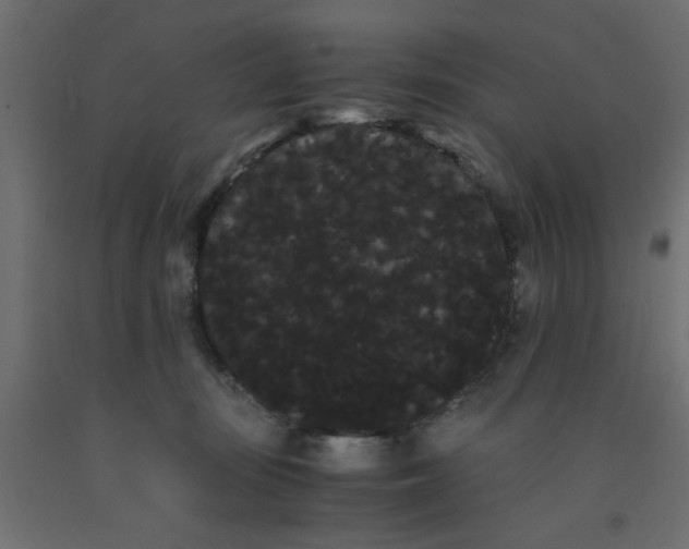 X0000090860371200708241904