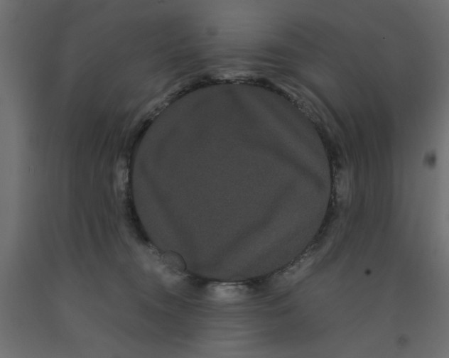 X0000090860372200708241904