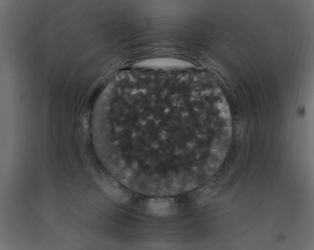 X0000090860373200708241904