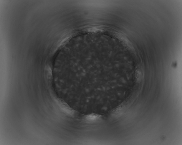 X0000090860375200708241904