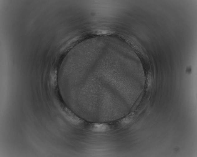 X0000090860376200708241904