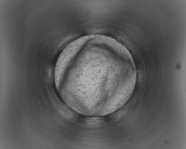 X0000090860378200708241904