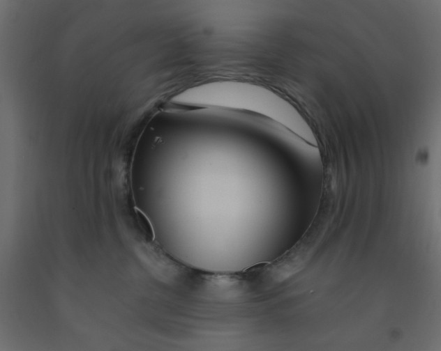 X0000090860380200708241904