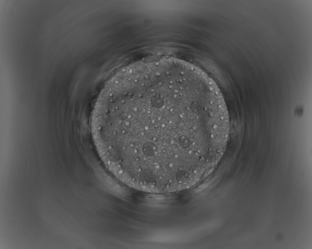X0000090860381200708241904