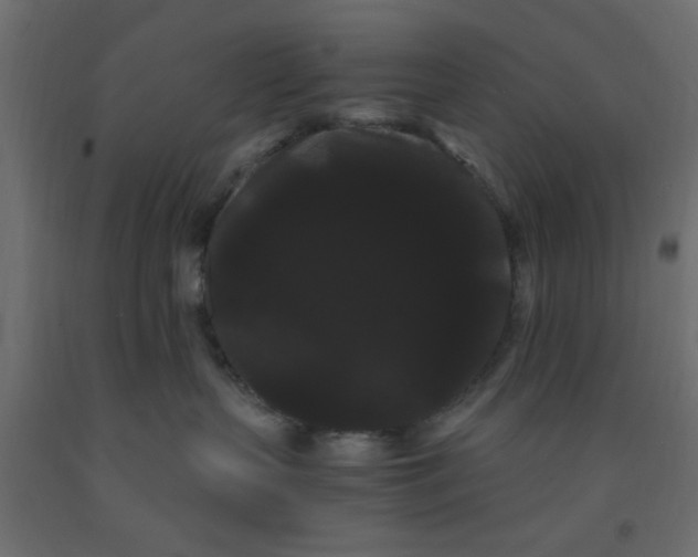 X0000090860383200708241904