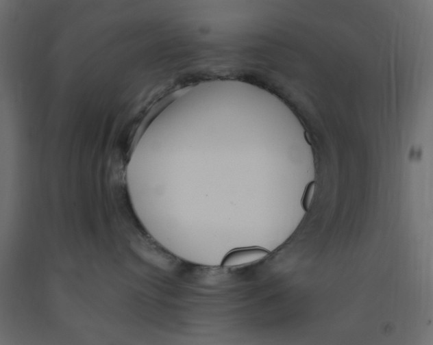 X0000090860384200708241904