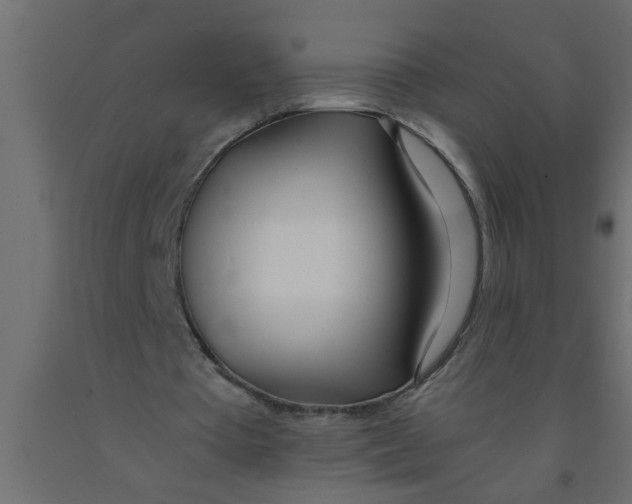 X0000090860385200708241903