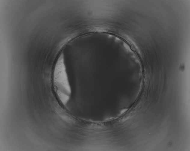 X0000090860386200708241903