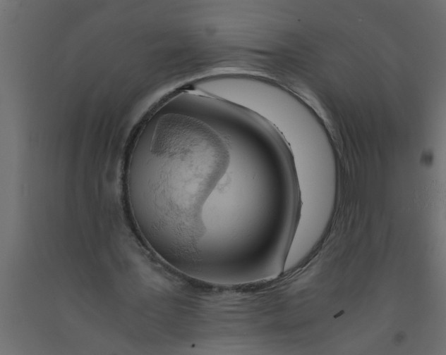 X0000090860387200708241903