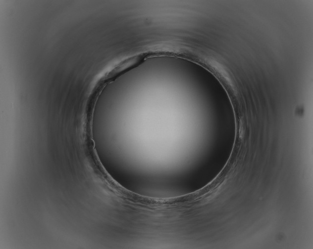 X0000090860388200708241903