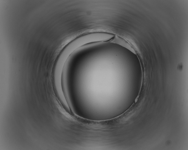 X0000090860389200708241903