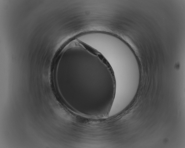 X0000090860391200708241903